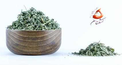 خرید پونه کوهی - پونه کوهی اصل (۵۰گرم)