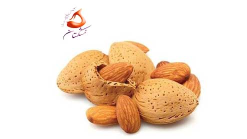 خرید اینترنتی روغن بادام تلخ اصل