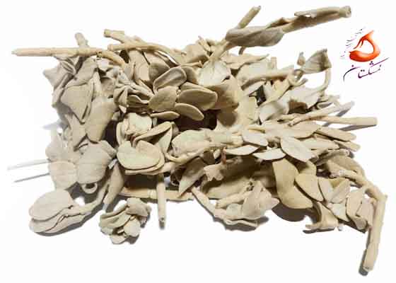گیاه پولک - پولک (سنبله ارسبارانی) ۵۰گرم