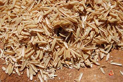 قیمت شلتوک برنج - شلتوک (چلتوک) برنج (۱۰۰گرم)