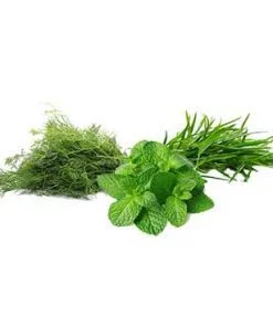 دسته سبزیجات معطر