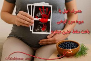 میوه سرو کوهی برای سقط جنین