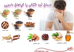 زود انزالی با گیاهان دارویی 300x212 - عطاری آنلاین مشکستان