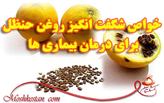 خواص شگفت انگیز روغن حنظل برای درمان بیماری ها