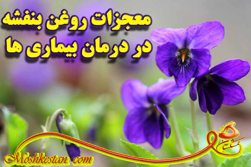 معجزات روغن بنفشه در درمان بیماری ها