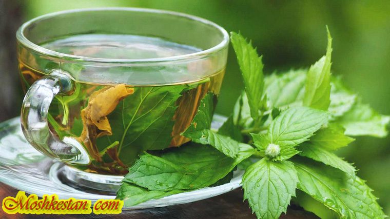 cup of tisane tea on side with peppermint leaf 1 copy 1 - دمنوش های گیاهی خنک کننده و کاهنده دمای بدن