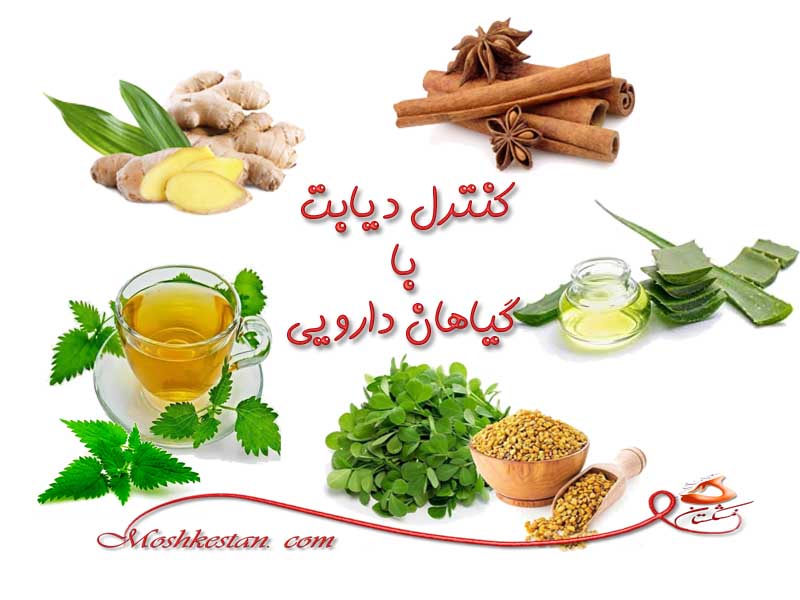 چه گیاهان دارویی برای دیابت مفید است