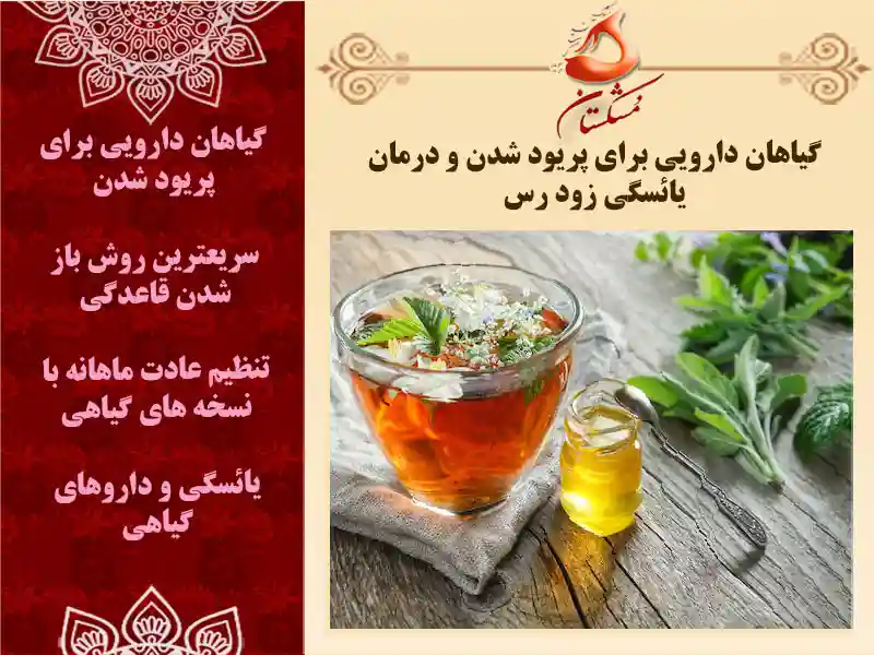 گیاهان دارویی برای پریود شدن