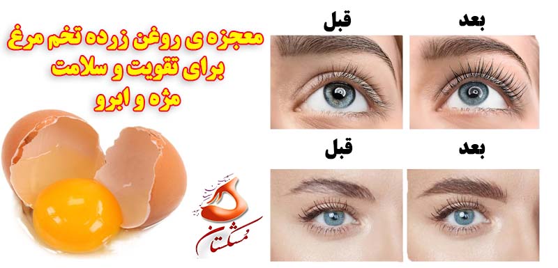 معجزه ی روغن زرده تخم مرغ برای تقویت و سلامت مژه و ابرو