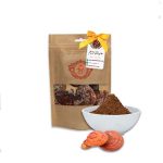 قیمت خرید فروش قارچ گانودرما