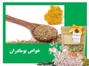 گیاه بومادران برای معده