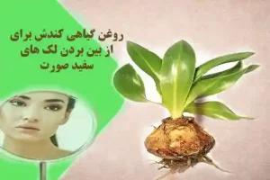 روغن گیاهی کندش