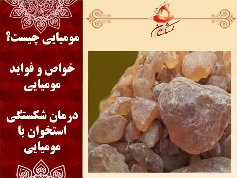 گیاه مومیایی