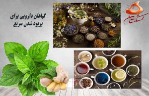 گیاهان دارویی برای پریود شدن