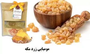 گیاه مومیایی