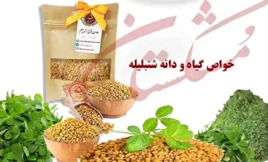 دانه شنبلیله