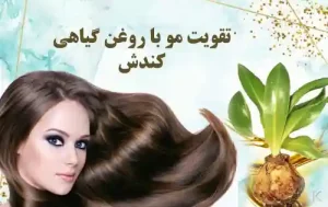 روغن گیاهی کندش