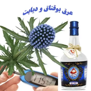 عرق بوقناق