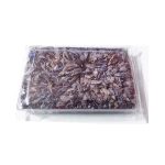 قیمت خرید فروش گل زعفران