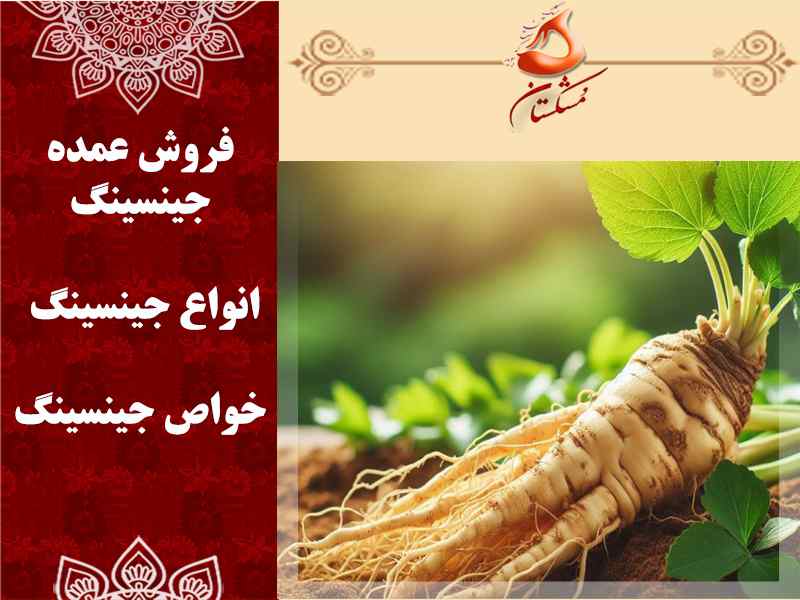 فروش عمده جینسینگ