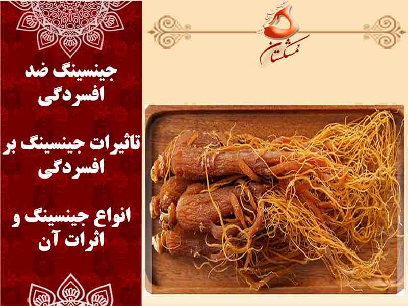 جینسینگ ضد افسردگی