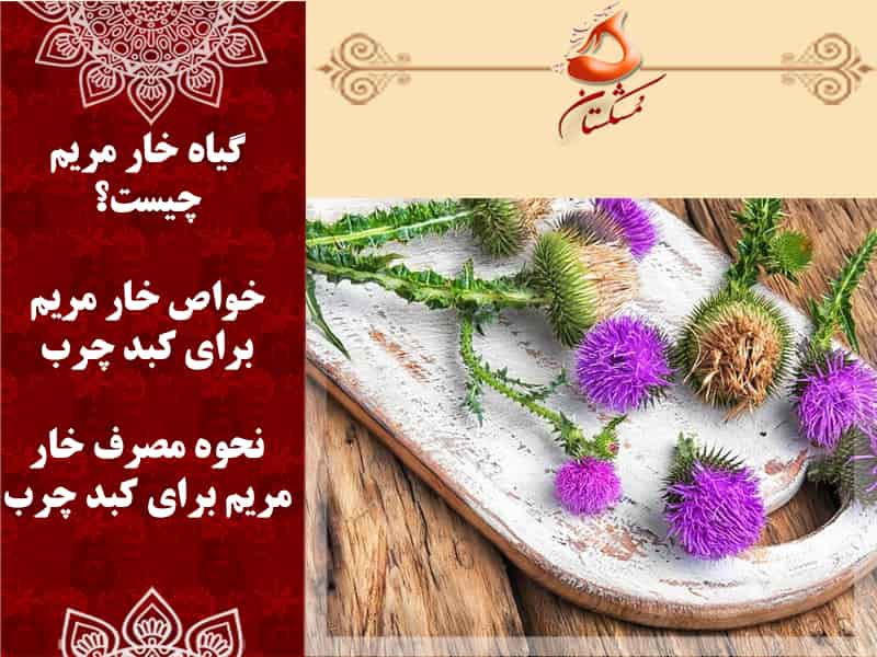 خارمریم برای کبد چرب