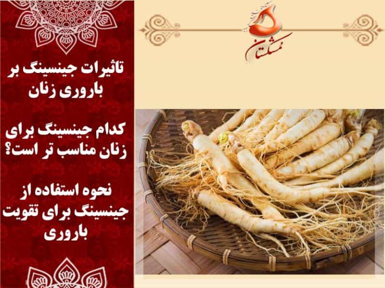 تاثیر جینسینگ بر باروری زنان