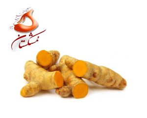 خرید زرد چوبه تازه