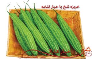 خرید خیار کارلا