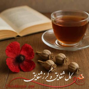خواص گل شقایق و غوزه شقایق