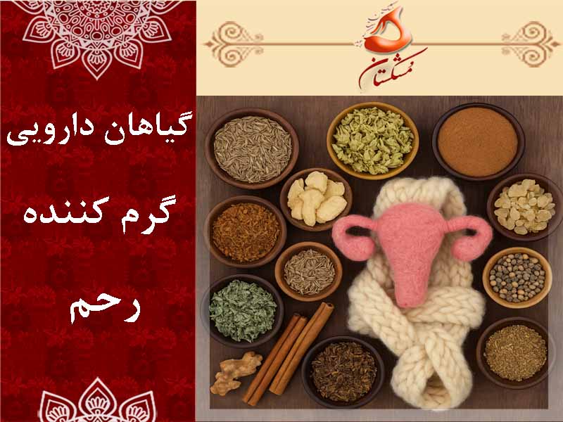 گیاهان دارویی گرم کننده رحم