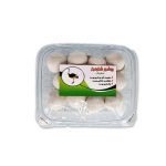 قیمت خرید فروش سفیدآب شترمرغ