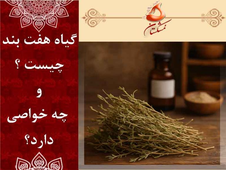 گیاه هفت بند