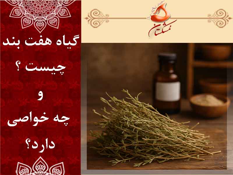 گیاه هفت بند