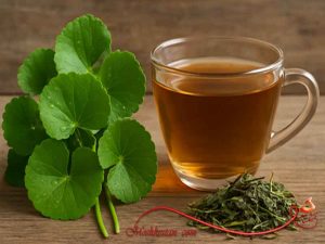 گیاه گوتاکولا یا براهمی