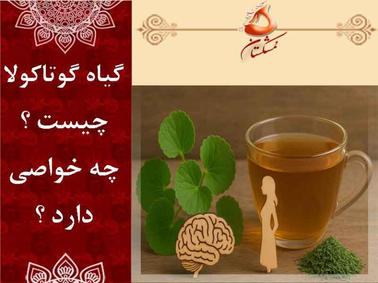 گیاه گوتاکولا چیست ؟