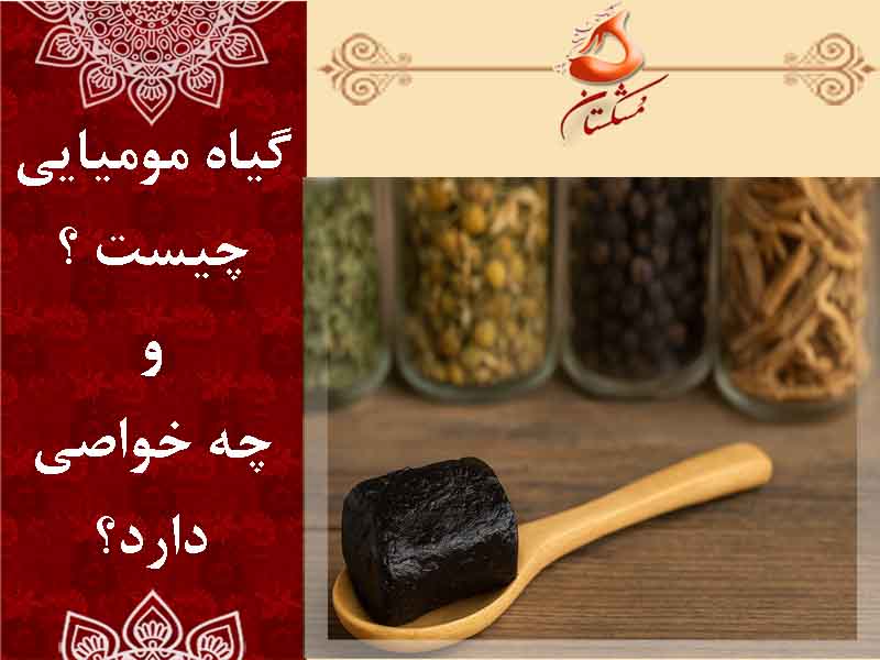 گیاه مومیایی