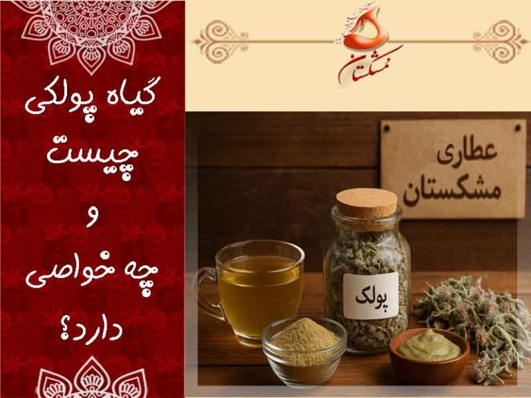 گیاه پولکی چیست ؟
