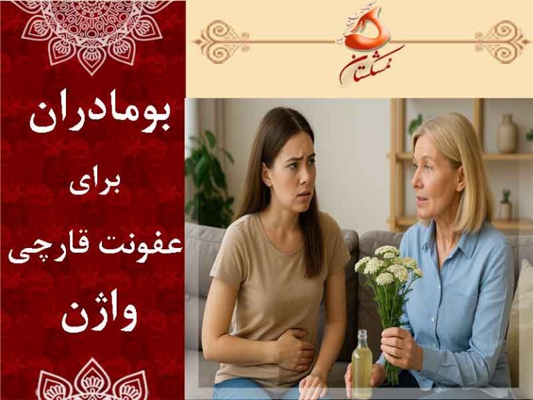 بومادران برای عفونت قارچی واژن