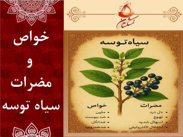 خواص و مضرات سیاه توسه