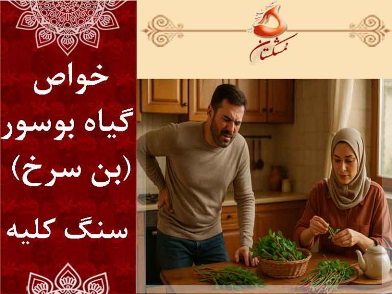 خواص گیاه بوسور سنگ کلیه