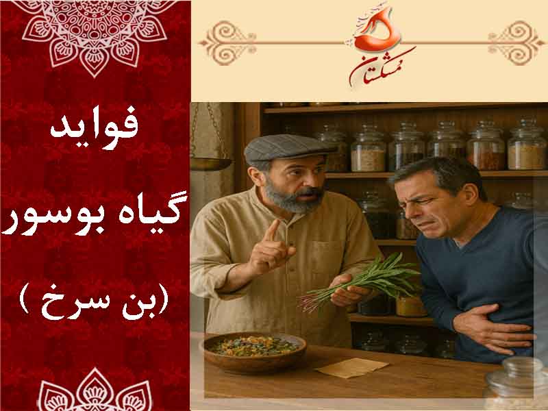 فواید گیاه بوسور
