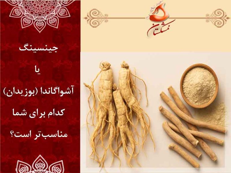 جینسینگ یا آشواگاندا (بوزیدان) — کدام برای شما مناسب‌تر است؟