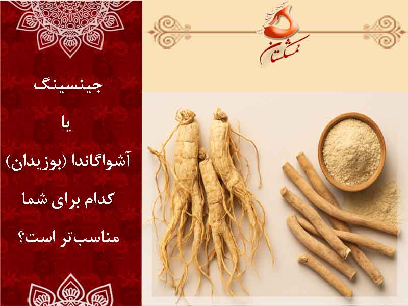 جینسینگ یا آشواگاندا (بوزیدان) — کدام برای شما مناسب‌تر است؟