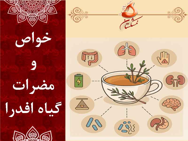 خواص و مضرات افدرا