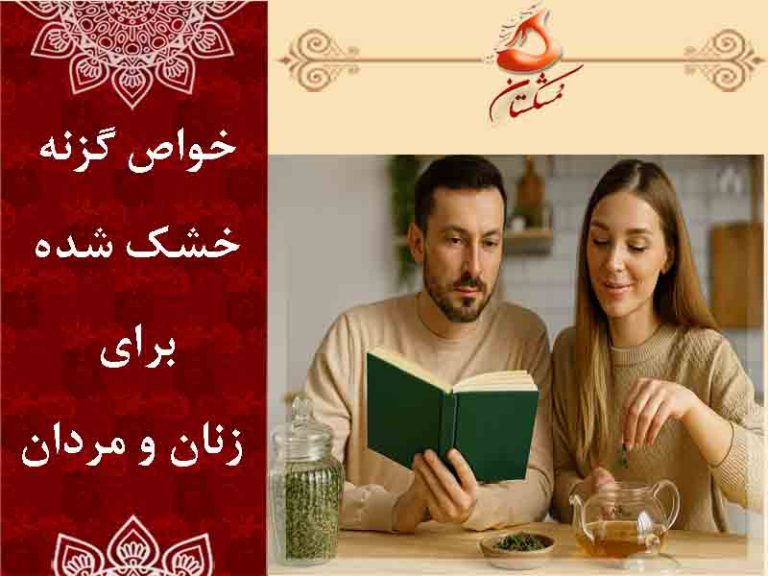 خواص گزنه خشک شده برای زنان و مردان