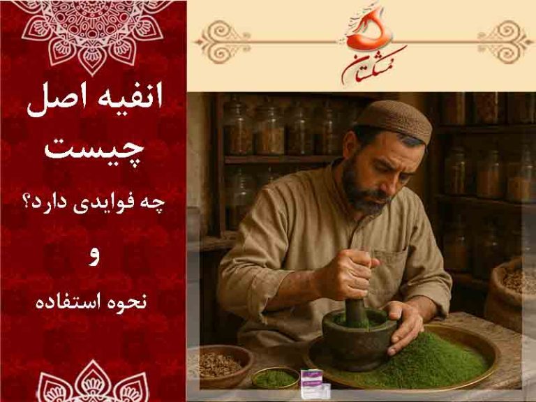 انفیه اصل چیست