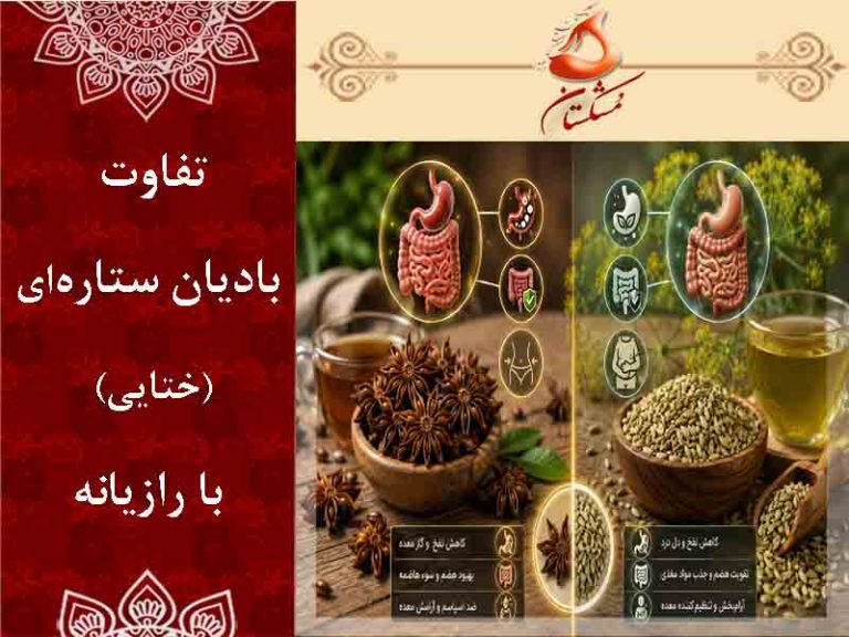 تفاوت بادیان ستاره‌ای با رازیانه
