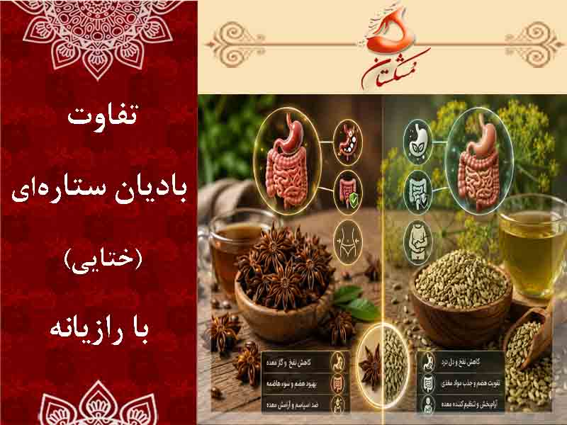 تفاوت بادیان ستاره‌ای با رازیانه