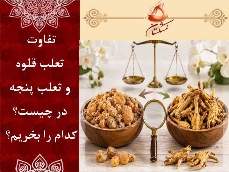 تفاوت ثعلب قلوه و ثعلب پنجه